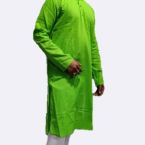 Handloom Punjabi
